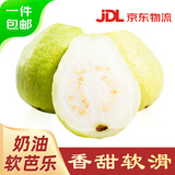 京鲜生 软糯奶油白心芭乐 净重3斤装单果150g+ 番石榴 端午源头直发包邮