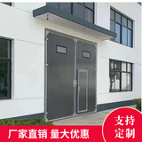工业车间仓库厂房平开门电动钢质镀锌钢板大门工业保温大门甲级
