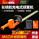 道什威尔（TOSRWELL）电动绿篱机充电绿篱修剪机篱笆剪园林绿化剪茶机茶叶修枝电动农具 【王者款】24V双刃+30A锂电池
