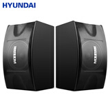 HYUNDAI10吋家庭影院KTV无源音响 卡拉OK家用K歌设备家用客厅K歌音响卡包音箱