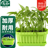 寿禾 种菜盆阳台家庭蔬菜种植方形盆 长形蔬菜种植盆(绿色)组合装2个