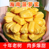 保蓉生鲜水果俱乐部海南菠萝蜜黄肉干苞新鲜水果热带特产水果 （软香才能切开） 10-15斤