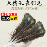 佐之寻孔雀羽毛摆件插花瓶的羽毛天然孔雀翎尾羽DIY装饰品客厅花瓶摆件 孔雀毛（90-100cm6支）