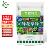 乐子君 种子 花卉种子 花草种子混装花种子阳台室内 盆栽观花卉植物种籽 30款花种混装500克