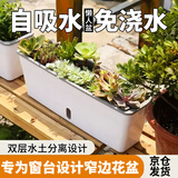 芷郁阳台种菜盆长方窄形花盆水位可视长条懒人蔬菜种植专用箱窗台草莓