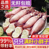 龙味福海兔子满籽笔管鱼鲜活熟冻海鲜籽乌章鱼新鲜墨鱼仔小鱿鱼乌贼 2斤(净重） 海兔子