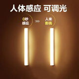 博朗尔人体感应灯带充电小夜灯起夜卧室床头灯氛围夜光灯可磁吸酷毙灯
