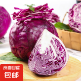 【特惠蔬菜】寿光紫甘蓝卷心菜紫色包菜红椰菜紫球生菜即食沙拉菜 试吃【1斤】新鲜农家菜 新鲜发出 人工精选