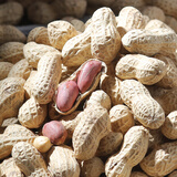 寒山石香酥原味炒花生500g农家铁锅现炒带壳花生熟花生坚果炒货休闲零食 原味炒花生500g*2袋