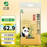 江京猫牙米 10kg 丝苗米 南方梯田米 20斤装 大米