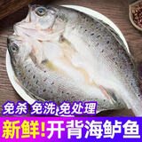 棠鲜生海鲈鱼新鲜冷冻深海七星鲈鱼海捕花鲈鱼 3条装三去海鲈鱼（0.8-1斤/条）
