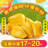 禧友鲜 海南菠萝蜜整个新鲜水果 黄肉干苞 三亚新现摘波罗蜜 顺丰可选 17-20斤|品质家庭中果