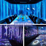 3d地面互动投影沉浸式5d全息墙面室内餐厅展厅酒店展厅激光投影 儿童乐园  意向金