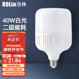 洛林（ROLin）LED灯泡节能灯泡E27螺口家用商用大功率光源 柱形40W白光