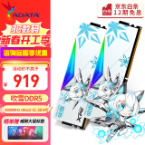 威刚（ADATA）XPG龙耀D500G吹雪联名DDR5台式内存条C28时序严选海力士Adie颗粒ddr5内存条灯条套装9800X3D专用 【9800X3D专用】6000 16*2吹雪C28