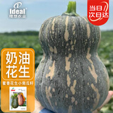 ldeal 理想农业 花生南瓜种子奶油小南瓜种籽春季易种易活蔬菜种子大全