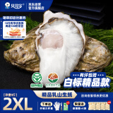 贝司令（BEISILING）【鲜活】乳山生态生蚝牡蛎贝类烧烤源头直发2XL净重9斤32-38只装