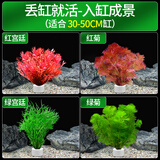 疯狂水草鱼缸造景水草水培绿植养鱼水草绿菊种植环鱼缸套餐d 源头直发包邮