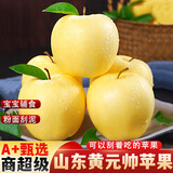 京极鲜 山东烟台黄元帅苹果粉面沙甜孕妇老人 【精品礼盒】带箱9.5-10斤