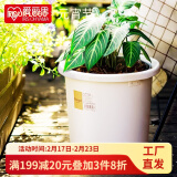 爱丽思（IRIS）Deepot花盆加厚树脂控根圆口绿萝绣球蔷薇月季塑料花盆 7号白色(口径约23.7cm)无盆托