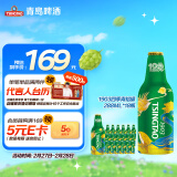 青岛啤酒（TsingTao）经典1903四季常青铝瓶288ml*18瓶整箱装 