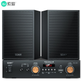 索爱（soaiy）CK-M501庭影院KTV音响客厅家用电视唱电木吉他乐器音箱商用门店卡拉ok全套专业功放音箱话筒