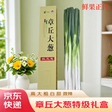 京地达正宗山东章丘大葱10斤礼盒  葱白长约55cm送礼用蔬菜源头直发包邮
