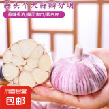 京喜加 【百万单爆品】紫白皮蒜精品大蒜特价批发商用调味料蒜瓣 特价5头 100g 单果3.5-5cm