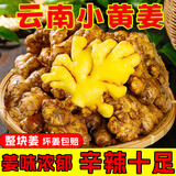 【云南小黄姜】新鲜现挖老姜嫩姜新姜生姜应季蔬菜农家新鲜直发 云南小黄姜3斤【净重2.8斤】
