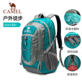 骆驼（CAMEL）户外双肩包男女轻便徒步旅行运动登山背包 A9W3CO3135 孔雀蓝