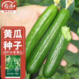 寿禾 旱黄瓜种子强雌籽种各种水果青瓜秋季四季蔬菜寿光种籽 强雌绿月水果黄瓜种子100粒