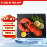 京东超市 海外直采加拿大熟冻波士顿龙虾 450g/盒 整只装 海鲜水产