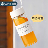 嘉特（GiNT）玻璃杯高硼硅玻璃水杯子 女生便携牛奶咖啡防烫高颜值茶杯家居馆