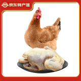 筱诺土鸡三黄鸡整鸡新鲜鸡肉 约2斤/只 整只装 4只装