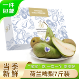 京鲜生 荷兰啤梨7斤礼盒装软糯香甜 单果130g-170g 源头直发 一件包邮
