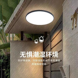 拉伯塔户外吸顶灯阳台农村庭院屋檐灯LED露台别墅大门口灯室外防水照明 56W白光 47cm 白壳