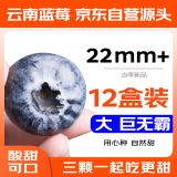 京鲜生 云南蓝莓巨无霸 22mm+ 12盒装 125g/盒  新鲜水果 源头直发