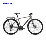 捷安特（GIANT）Escape 2 City Disc城市休闲通勤健身16速平把公路自行车 Metal 700C×485MM M 建议170-180cm