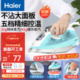 海尔（Haier）电熨斗自动清洗熨斗家用蒸汽挂烫机手持烫斗小型熨烫机干湿双烫 YD1618专销