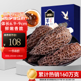 半山农羊肚菌礼盒50克6.9-9cm礼盒云南特产干货炖汤食材 长辈送礼