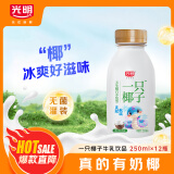 光明一只椰子 250ml*12瓶 低温椰子风味牛奶 [源头直发]