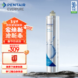 爱惠浦（Everpure） H-100C 净水器滤芯