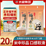 太粮猫牙米长粒米20斤 大米10斤*2 当季新米 热门商品