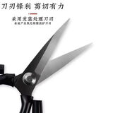 德国进口不锈钢剪刀家用菜刀王多功能剪子黑色尖头裁缝剪纸可用锋 高碳钢【正品菜刀王】小3号+1把