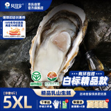 贝司令（BEISILING）【鲜活】乳山生态生蚝牡蛎贝类烧烤源头直发5XL净重9斤 17-19只装