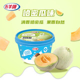 五羊牌哈密瓜口味冰淇淋畅享家庭装255g/杯 雪糕冰激凌生鲜冷饮批发