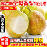 锁季新疆库尔勒香梨现摘新鲜水果脆甜香妃全母梨孕妇水果春节礼盒送礼 净重8斤精选小果 单果80-100g