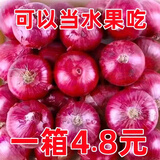 限时特惠】山东洋葱葱紫皮红皮洋葱现挖圆葱头正宗大果紫洋葱新鲜 限时钜惠：速抢//带箱 9斤 -小果