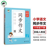 53小学基础练 语文 同步作文 六年级下册 2025版 适用2025春季 