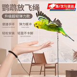 智宙不伤脚鹦鹉脚链鸟用脚环放飞牵引绳玄风放飞绳栓虎皮遛鸟绳牡丹 4号+手绳【虎皮，百灵，文鸟等】